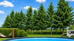 A swimming pool surrounded by lush greenery and trees. - Gorgeous home in Jaroslawiec with swimming pool (Jaroslawiec)
