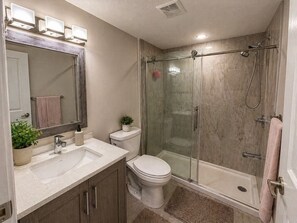 A bathroom with a glass-enclosed shower, a sink, a toilet, and a mirror. - Private 3 Bedroom Guest Suite (Calgary)