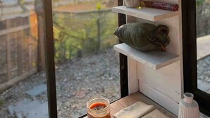 Ein Zimmer mit Fenster, einem Regal mit Buddha-Statue, einem Kissen, einem Krug und einer kleinen Vase.