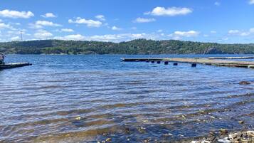 Pesca