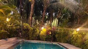 Una piscina con agua cristalina azul, rodeada de exuberante follaje y palmeras.