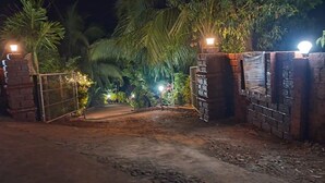 Una entrada cerrada por una verja en la noche, con un camino de tierra que conduce al interior, rodeada de palmeras e iluminada por farolas.