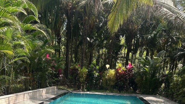 Una piscina rectangular con agua azul cristalina, rodeada por un solárium con baldosas y abundante vegetación tropical.