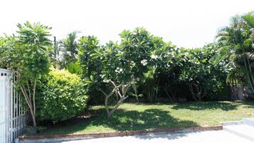 A well-maintained garden with various trees and shrubs, a paved walkway, and a white fence.