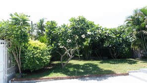 Un jardín cuidado con varios árboles y arbustos, un camino empedrado y una valla blanca.