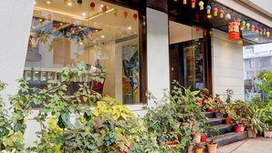 Un edificio con ventanas amplias, plantas en macetas y faroles colgantes.