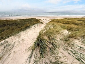 Una playa con dunas de arena y pastizales.