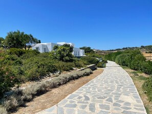 A stone pathway leading to a white building with a clear blue sky above. - A quiet Cycladic-style family home with a pool and an exceptional ocean view. (SIFNOS)