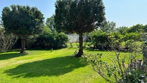 A well-maintained garden with two prominent trees, a stone wall, and a grassy lawn.