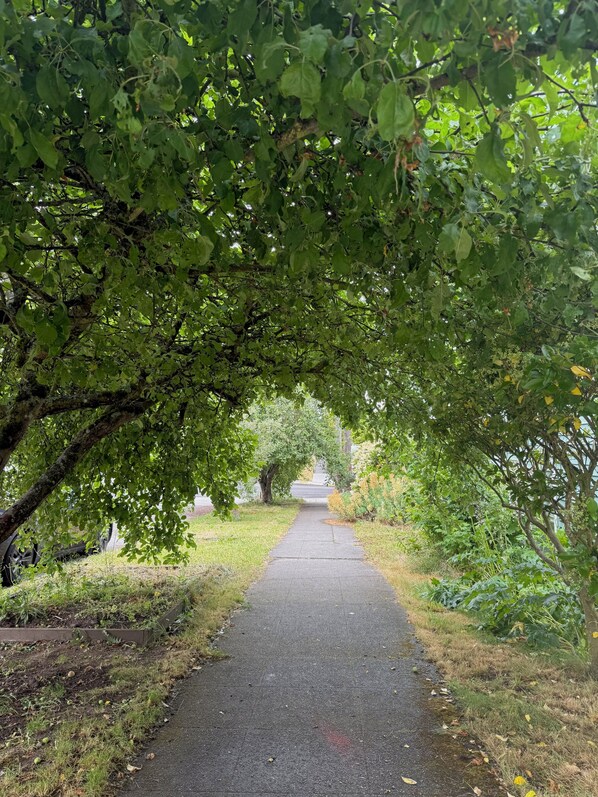 A pathway lined with trees and grass, leading to a distant structure. - Cozy 1-bedroom with private bathroom and shared kitchen in Seattle with AC (Seattle)