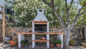 An outdoor barbecue area with a stone wall, potted plants, and a tree.
