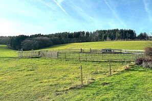 A fenced field with a gate, a bench, and a row of trees in the background. - Apartment in Gerolstein-Müllenborn (Gerolstein-Müllenborn)