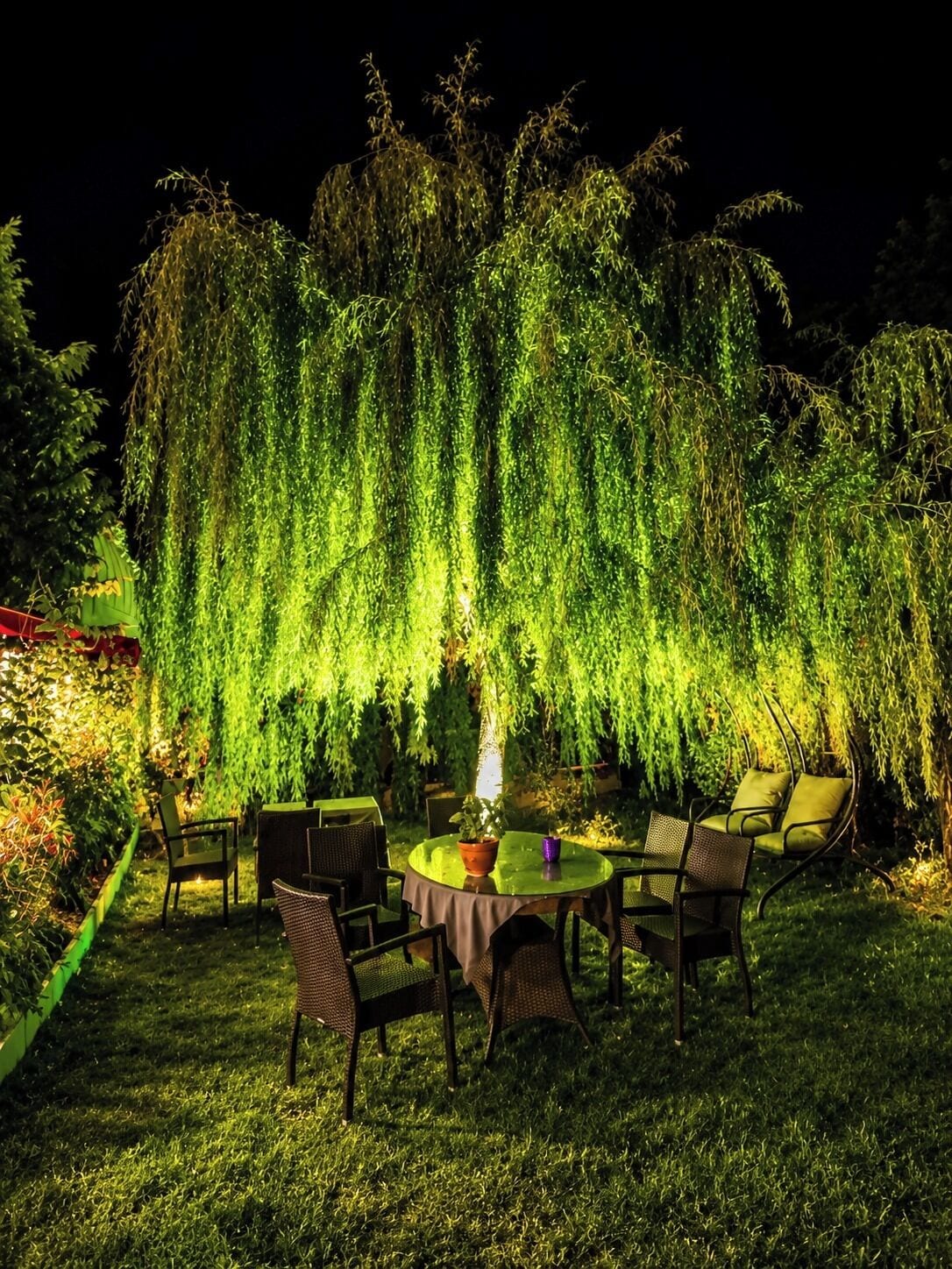 An outdoor dining area with a table and chairs, surrounded by lush greenery and a weeping willow tree.