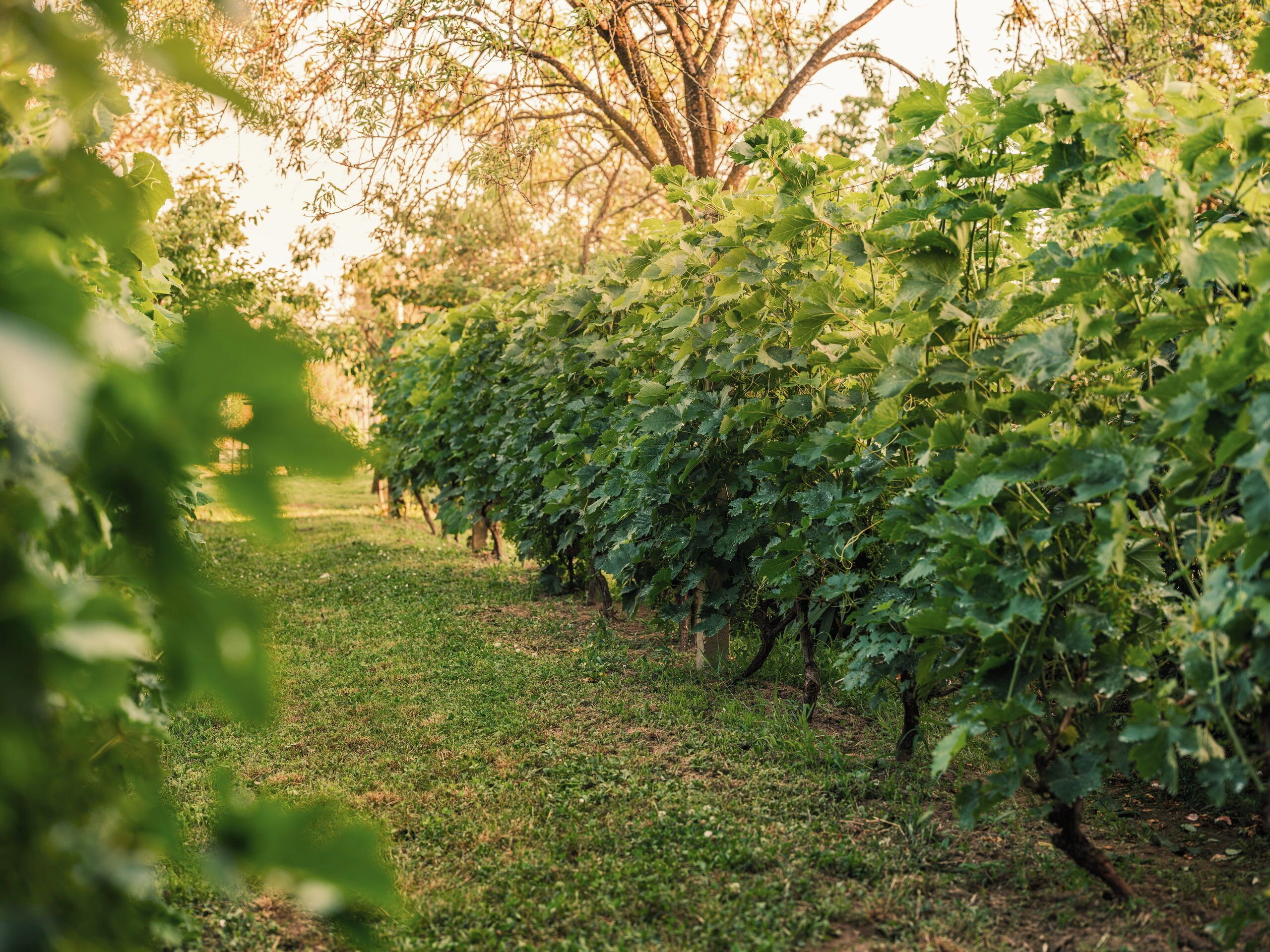 Övrigt