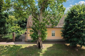 A house with a brick wall, a paved driveway, and a tree in front.