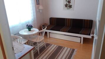 Télévision, cheminée, livres, chaîne hi-fi