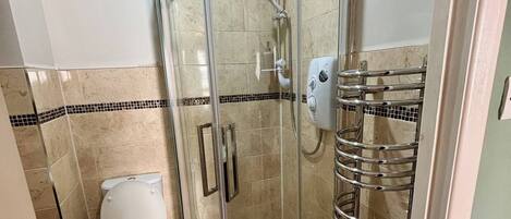 A bathroom with a glass-enclosed shower, a toilet, and a towel rack.