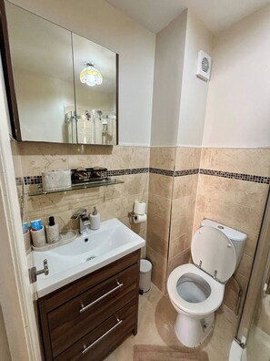 A bathroom with a sink, mirror, toilet, and a shower area.