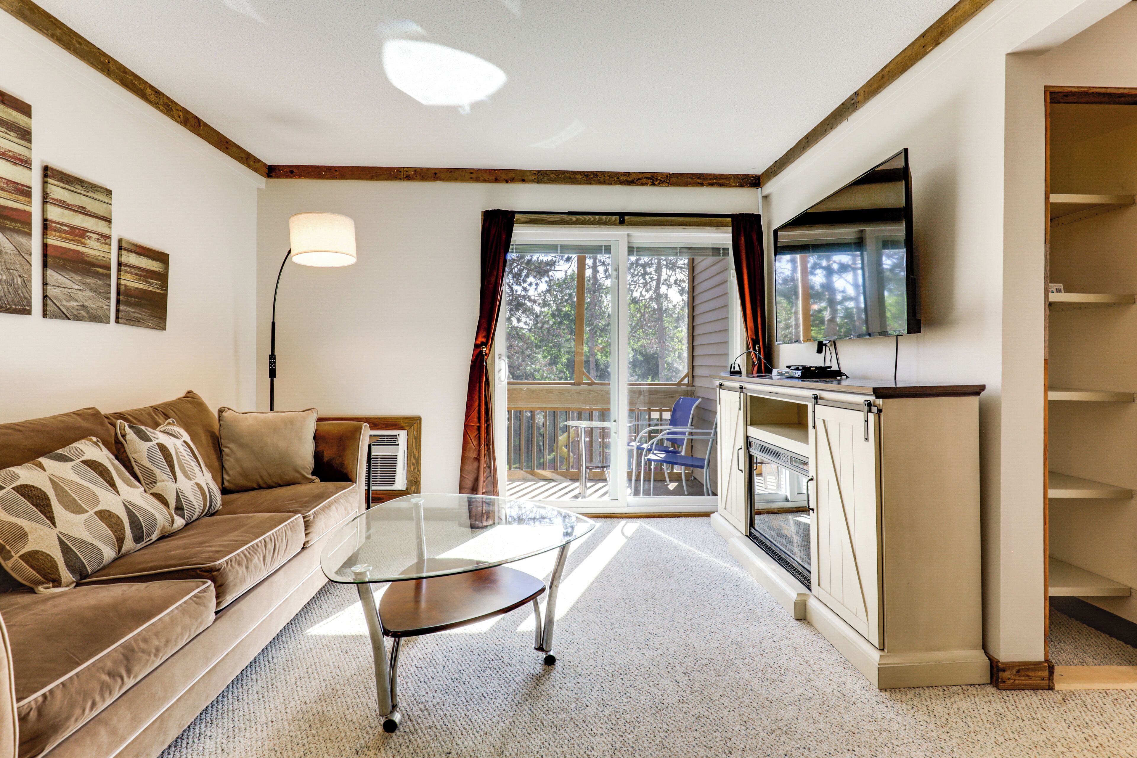 TV, fireplace, books, video library