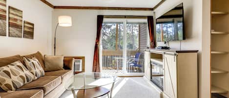 TV, fireplace, books, video library
