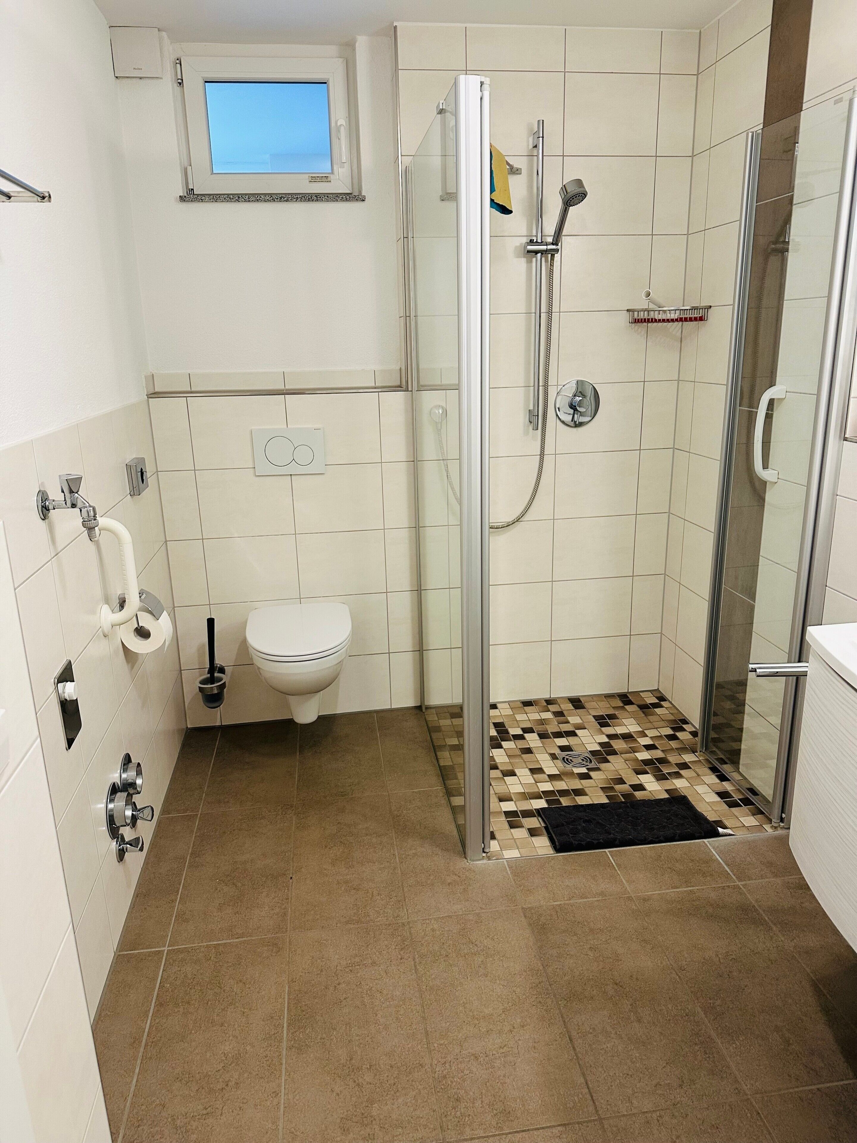 Shower, hair dryer, towels