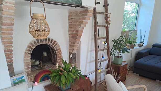 A cozy living room with a brick fireplace, a wooden ladder, a potted plant, and a blue sofa. - Family home on the edge of the forest (Salles)