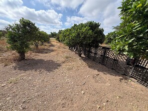 Un sentier de gravier, bordé d’arbres et délimité par une clôture métallique.