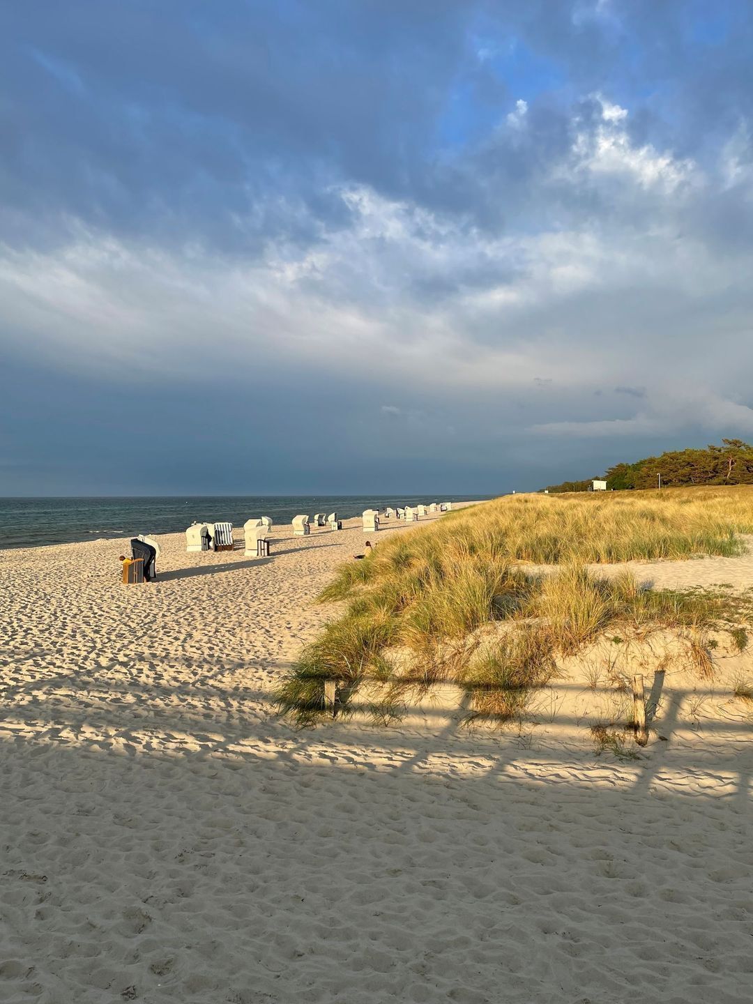 A beach with sand, dunes, and a few chairs.