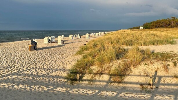 Een strand met zand, duinen en enkele stoelen.