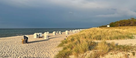 Una playa con arena, dunas y algunas sillas.