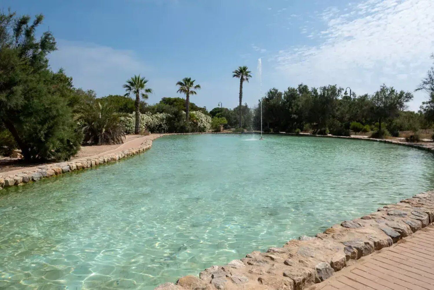 حمام سباحة