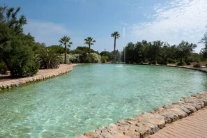 Ein klares, ovales Schwimmbecken mit Steinrand, umgeben von Bäumen und einer Palme, unter blauem Himmel.