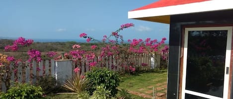 花園