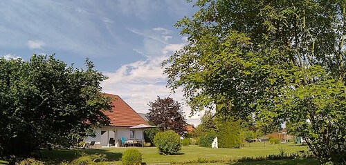 Ringelwiese Vacation Home - A Gathering Place in the Heart of Germany