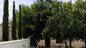 A rectangular pool with steps leading into it, surrounded by grass and trees. - Palacio de Paradinas (Santa Maria la Real de Nieva)