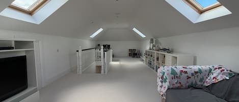 A spacious attic room with skylights, a television, a sofa, and a bookshelf.