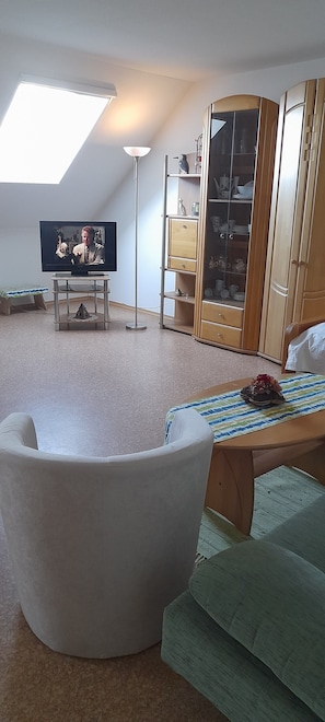 Un salon comprenant un téléviseur, un canapé, un fauteuil, un meuble en bois et une lucarne.