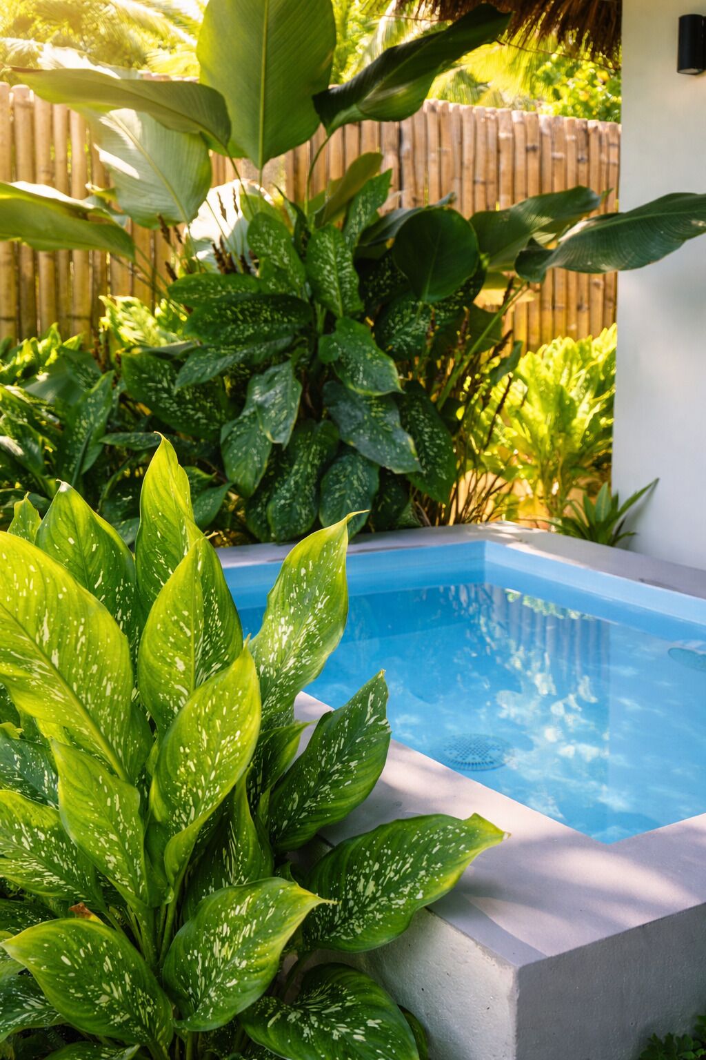 Studio Suite, Private Pool, Garden View | Pool | 2 outdoor pools