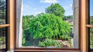 A view through a window of a lush garden with a variety of plants and trees.