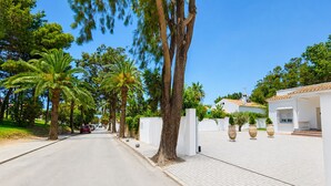 Una calle bordeada de palmeras y un edificio blanco con un patio empedrado.