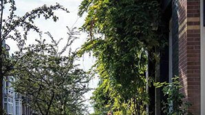 A sidewalk lined with parked bicycles and trees, with buildings on one side. - The Valerius Amsterdam - Valerio (Amsterdam)