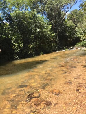 Un riu clar amb roques ben visibles i una àrea forestal densa al fons.