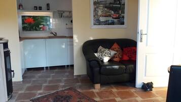 Fernseher, Stereoanlage