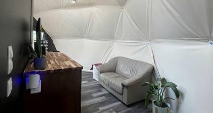Unplug and Unwind in a Modern Dome with Firelight Evenings and Starry Skies in Traphill, North Carolina