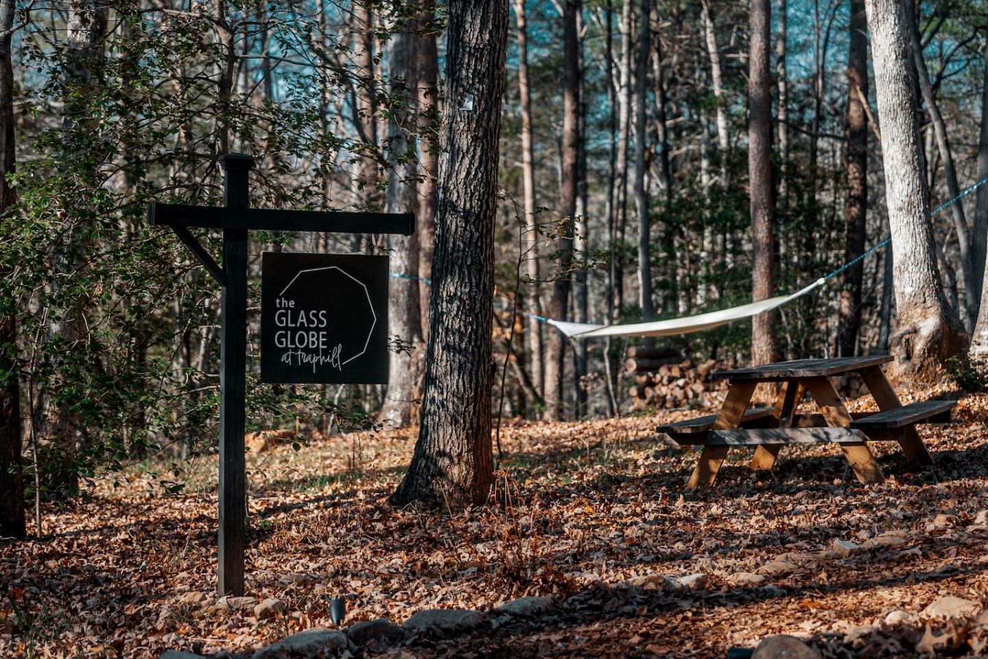 A hammock, a picnic table, and a sign in a forested area.