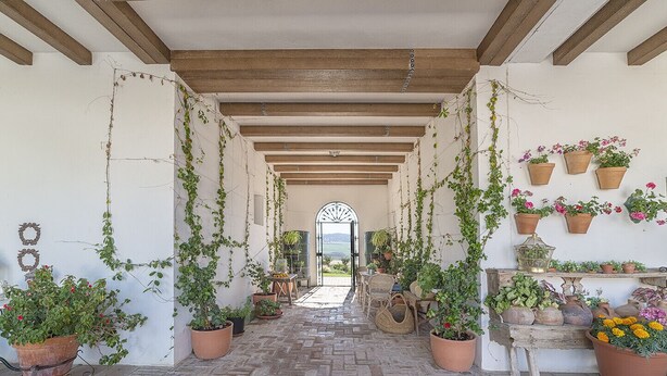 A covered corridor with hanging vines, potted plants, and a view through an arched doorway. - Charming and Spacious Family Villa - Cortijo Sierra y Lago (Arcos de la Frontera)