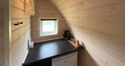 1 bedroom beautiful home in Skjern