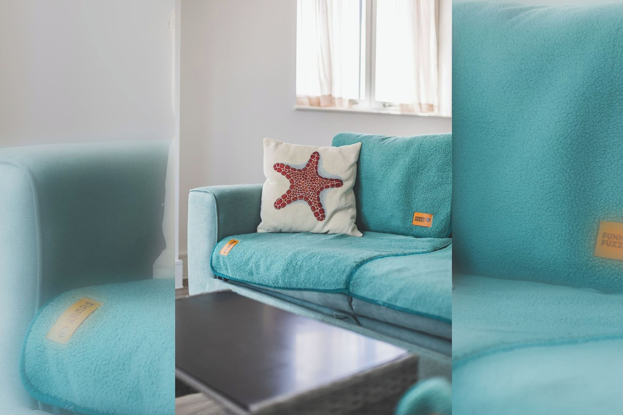 A teal sofa with a starfish pillow and a small tag.