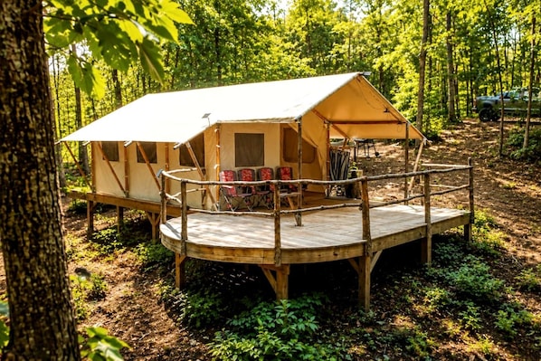 A forested campsite with a single tent, a wooden deck, and seating.