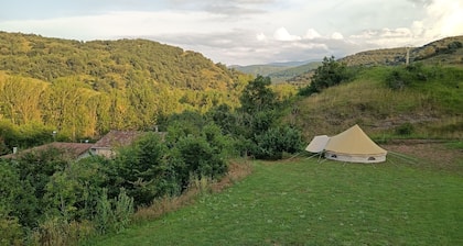 Astial Ezquerra Experience – Nature with Charm